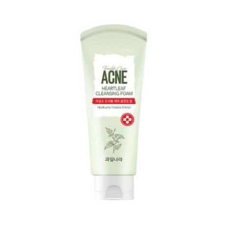 Welcos Trouble Care Acne Hearleaf Cleansing Foam 130g