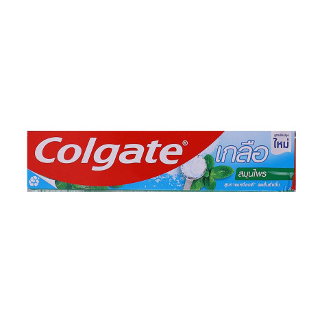 Colgate Salt Herbal Toothpaste 100g