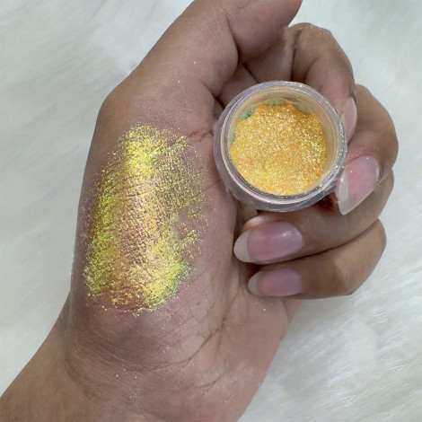 Everly Beauties Multichrome Loose Pigment Eyeshadow Series #313 Star Sign